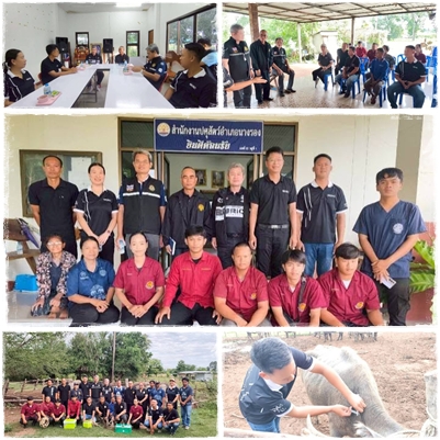 สทช. ร่วมรณรงค์ฉีดวัคซีนป้องกันโรคปากและเท้าเปื่อย ในโคนมและกระบือ ในพื้นที่ จ.บุรีรัมย์