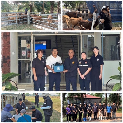 สทช.ลงพื้นที่ร่วมกับ สนง.ปศจ.สุโขทัย เพื่อติดตามการใช้วัคซีนป้องกันโรค