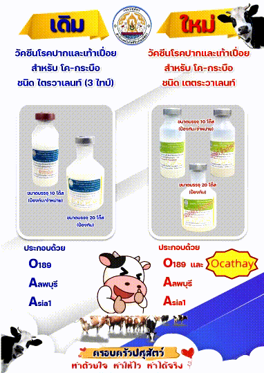 Pr-วัคซีนโรคปากและเท้าเปื่อยสำหรับโค-กระบือ