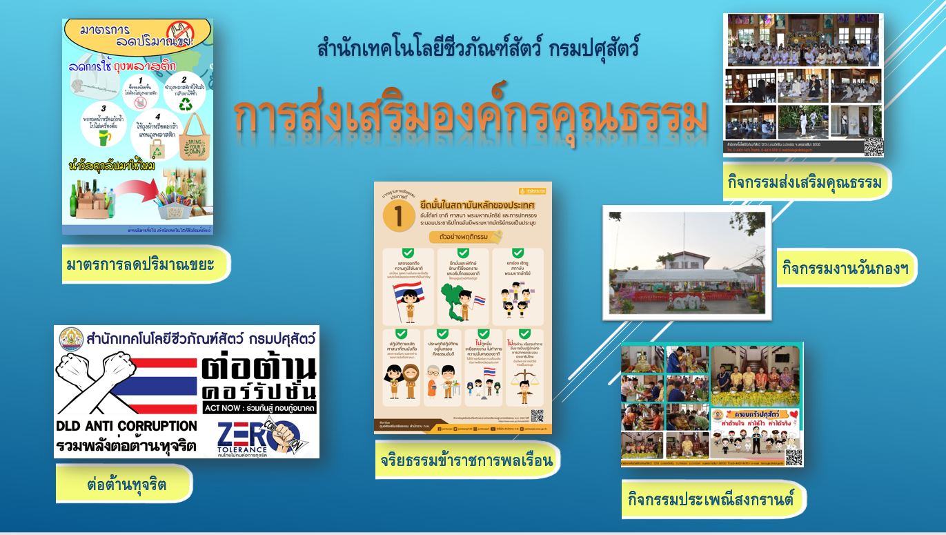 Infographic กิจกรรมส่งเสริมองค์กรคุณธรรม66
