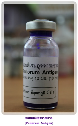116 pullorumantigen