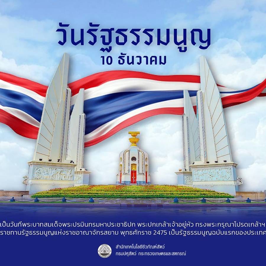 10 ธันวาคม #วันรัฐธรรมนูญ