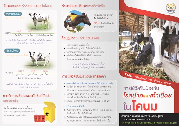 FMDvaccineinDairyCow Page 1