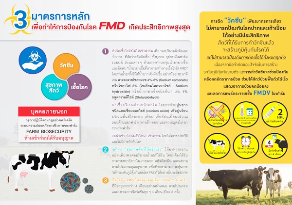 FMDvaccineinDairyCow Page 2