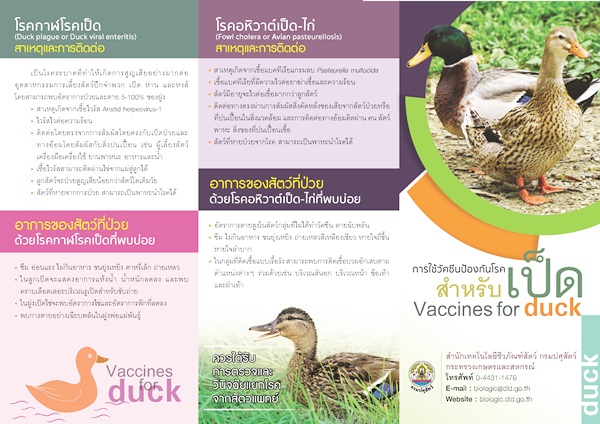 Vaccinesforduck Page 1